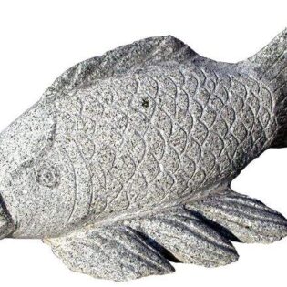 Βlackfish